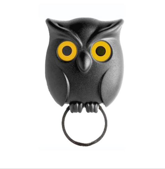 Night Owl Magnetic Wall Key Holder